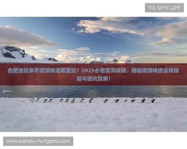 开云玩球赔率高吗彩票数字高频玩法防骗避坑指南